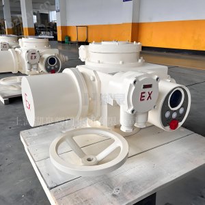 閥門電動裝置dzw90-24選型手冊及調試視頻