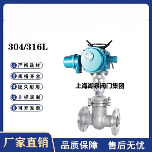 Z941W-16P，DN250，CF8/F304不銹鋼電動閘閥