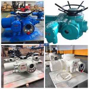 上海Z20-18W/Z/T 閥門電動執行器